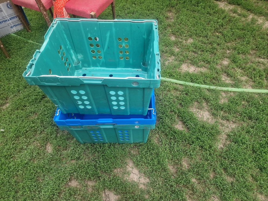 Lazi navete lada plastic depozitare legume fructe