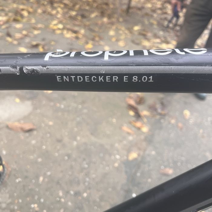 Bicicleta electrica prophete Entdecker