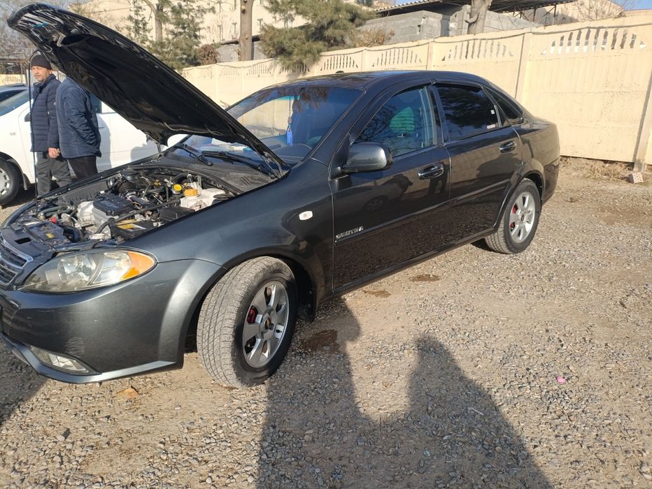 Жентира 2019 мокрий