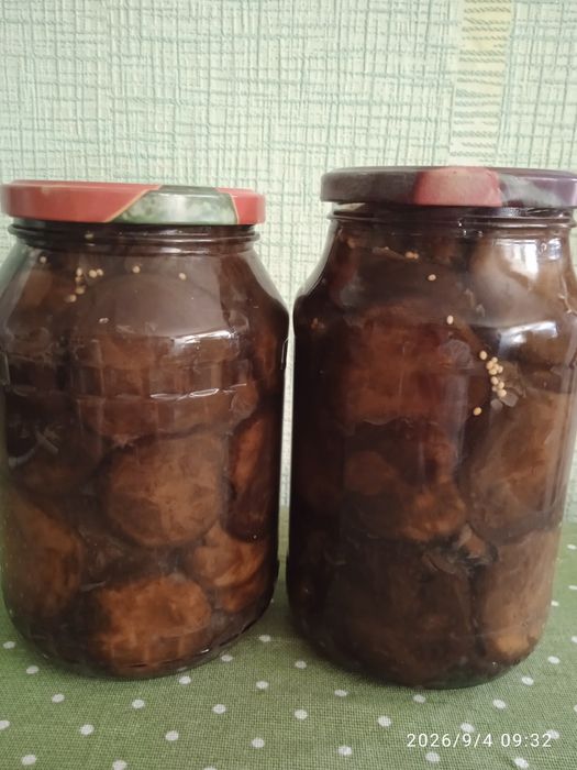 Маринованные грибы коровники