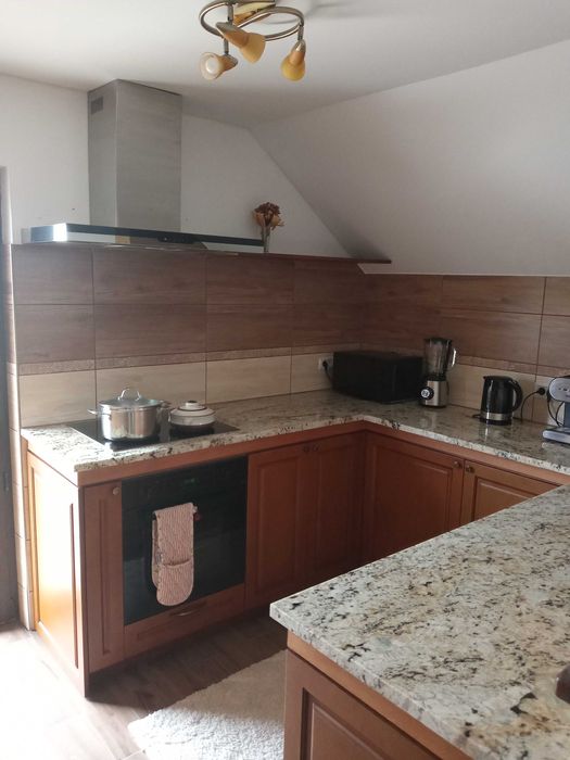 Casa de vanzare Horodnic de Jos 200m2 teren 2500m2 150000 euro