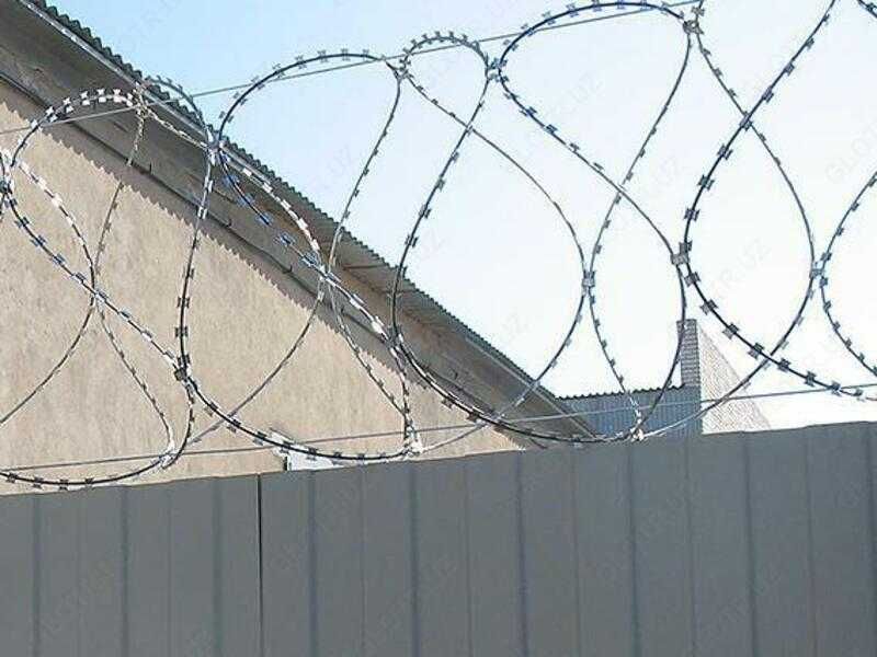 Egoza (tikanli sim) – hududni ishonchli himoya qilish uchun