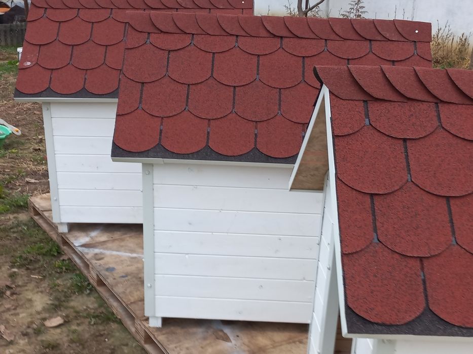 Casute custi pentru căței sau pisici