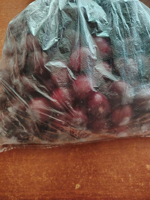 Черешня крупная  домашняя