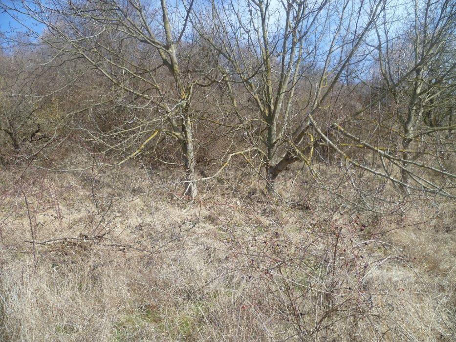 Недвижим имот 2350 квадратни метра,продава се 100 евро квадратен метър