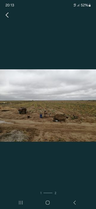 ТОО 500 гектар жер сатылады.
