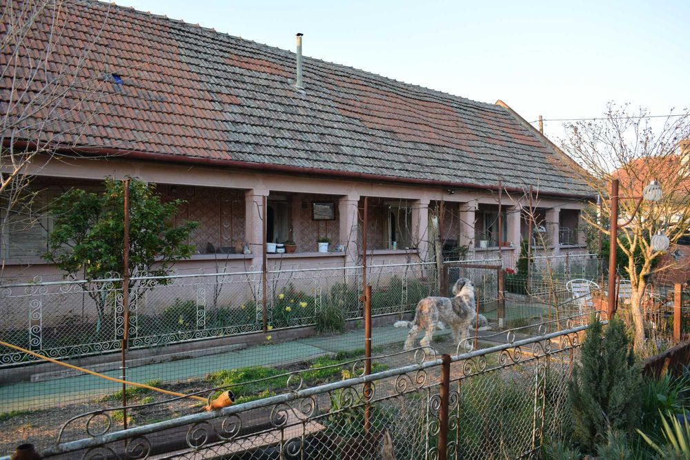 Teren intravilan 1000mp+casuta mica structura metalica+casa demolabila