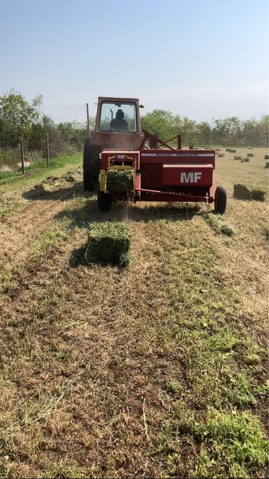 Бали Люцерна 14 лв