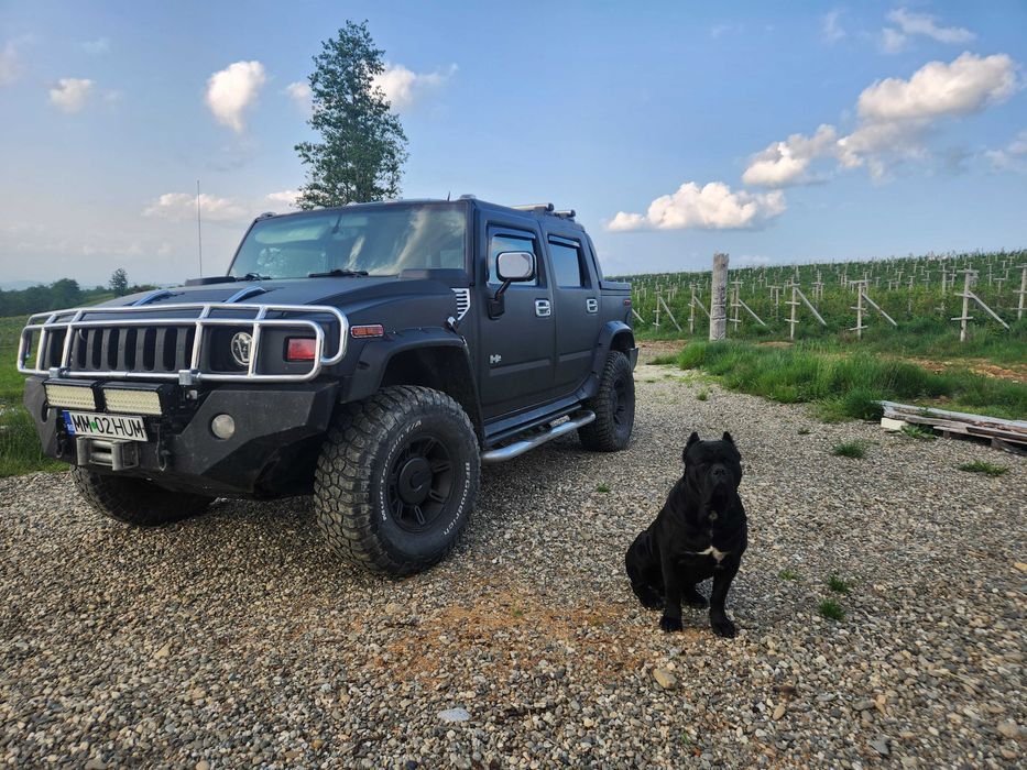 Hummer h2 autolitaria 110milakm