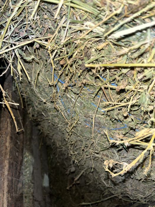 Baloti lucerna de vanzare