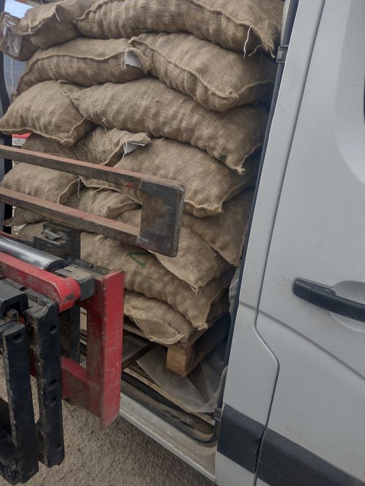 Семе Картофи СОРАЯ клас А