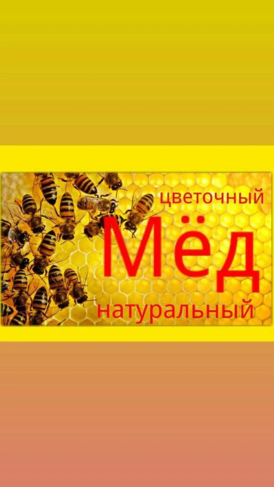 Мёд натуральный . Своя пасека.