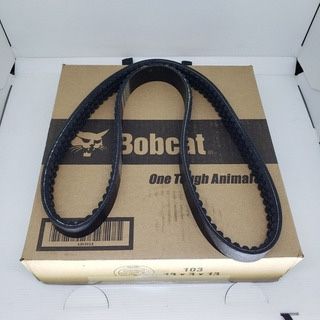 Curea transmisie  Bobcat
