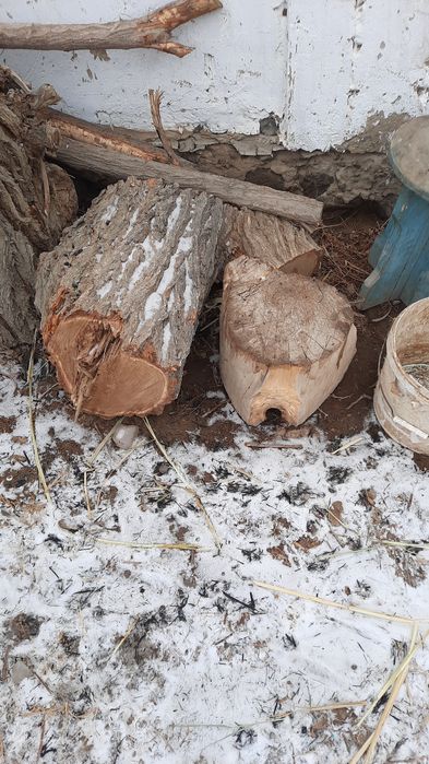 720p форматында леггинстердегі жас аққұбалармен порно көріңіз.