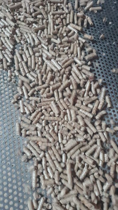 Peleti brad 80 și fag 20