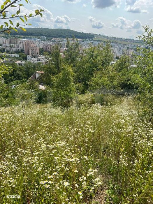 Casa Str. Negoiului, 2.249 mp teren, zona linistita, vedere panoramica