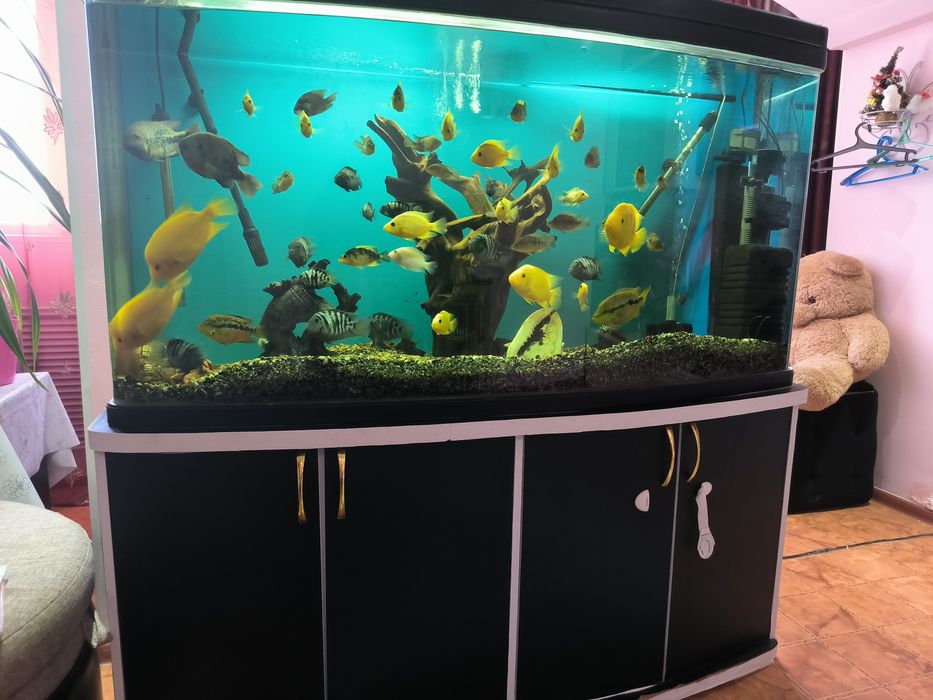 Продам аквариум с рыбками