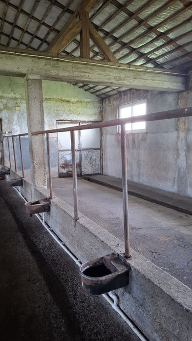 Clădire +teren, de vânzare, sat.Movileni- com.Vadu Moldovei