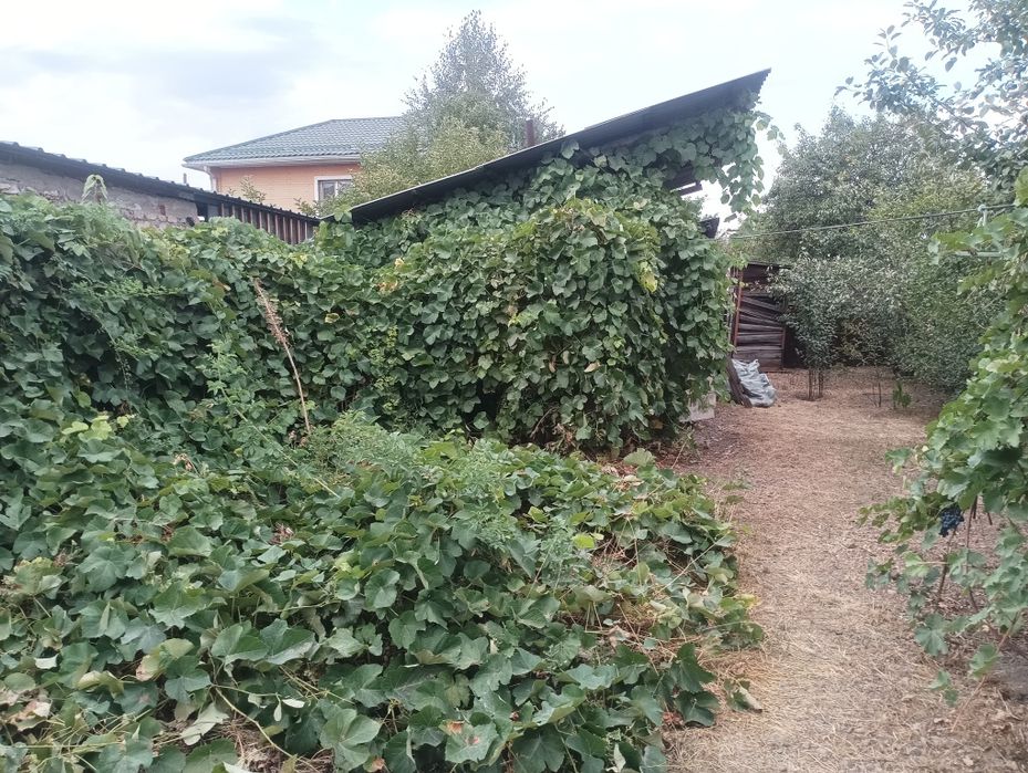 Продажа дома нижняя пятилетка