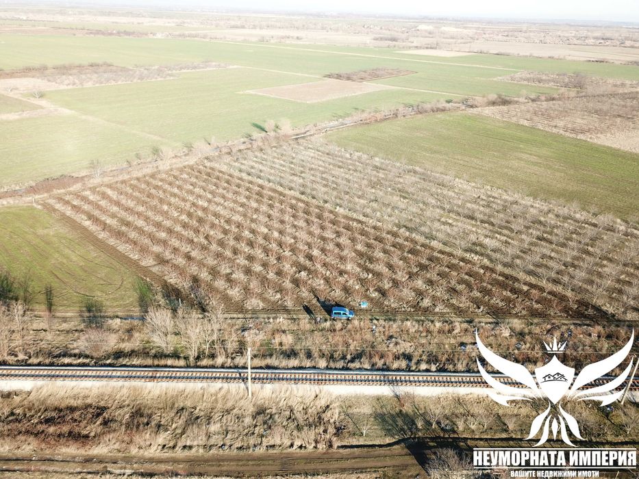 Продавам черешова градина 5800кв.м. в гр.Асеновград