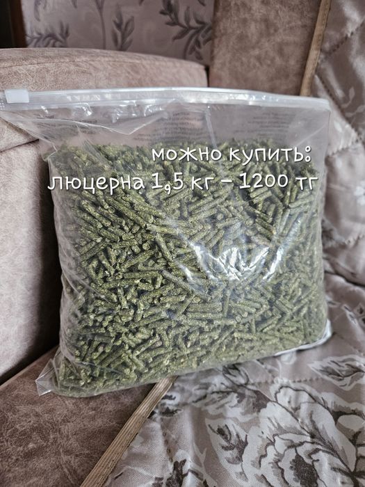 Продается мальчик (около 5 месяцев) + сено в подарок