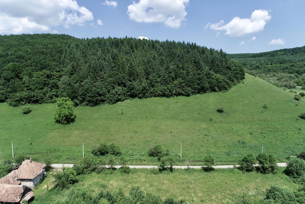 Teren intravilan Micesti