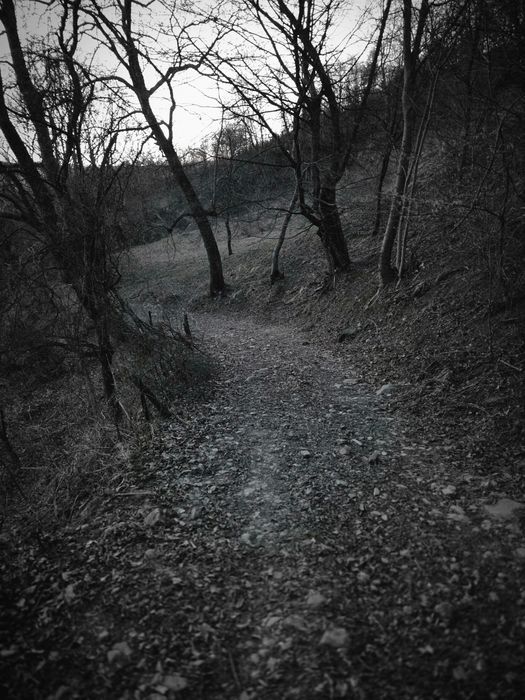 Teren de vanzarea Valea Doftanei