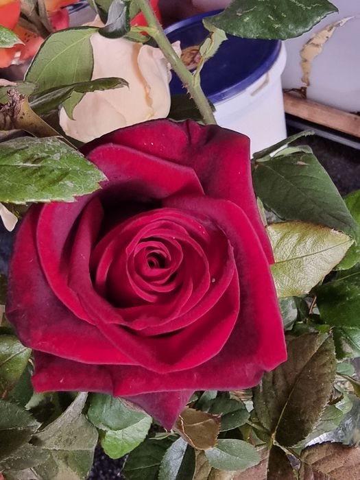 Samsung S21 ultira holati idiyal kareyadan kelgan 2 yil bo‘ldi