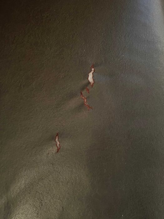 Луксозни дивани от естествена кожа