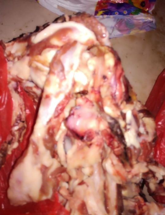 Корм собакам кошкам