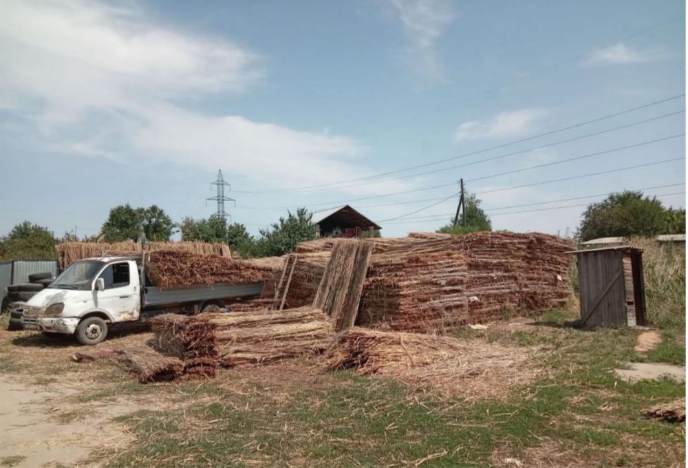 Камышовые маты .