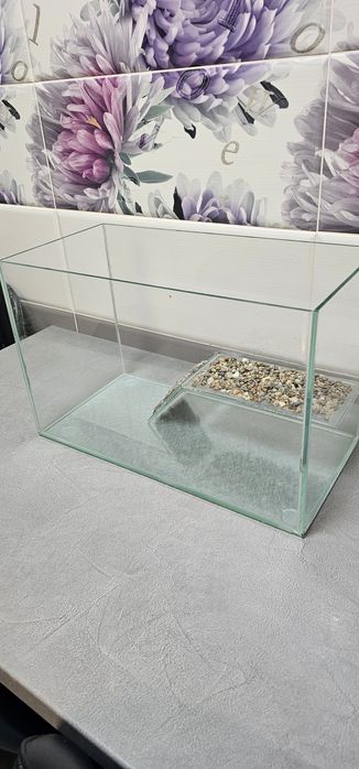 Acvariu pentru broasca țestoasă