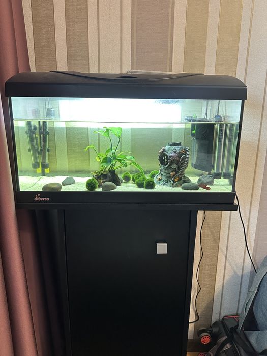 Acvariu de vanzare(Stand+ Accesorii)