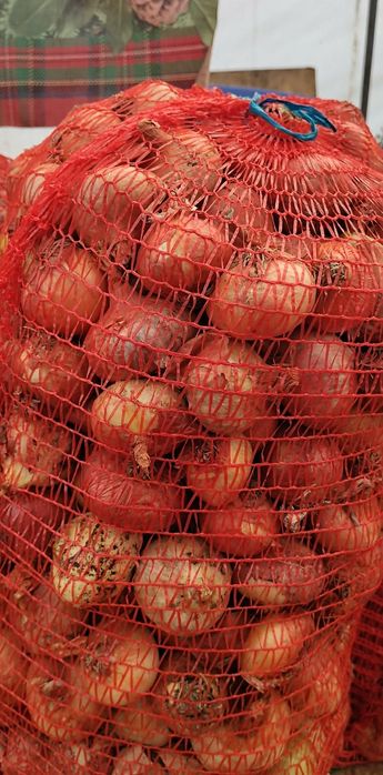 Ceapa romaneasca pret 1.5 lei kg