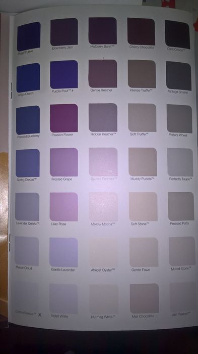 vopsitor - decorator - zugrav