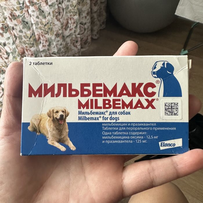 Отдам бесплатно.