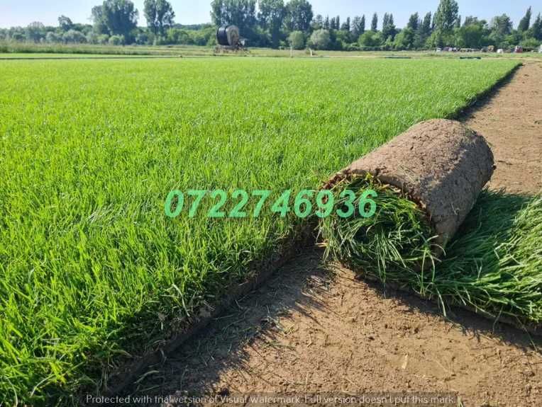 Gazon Natural pentru Amenajări Peisagistice Profesionale