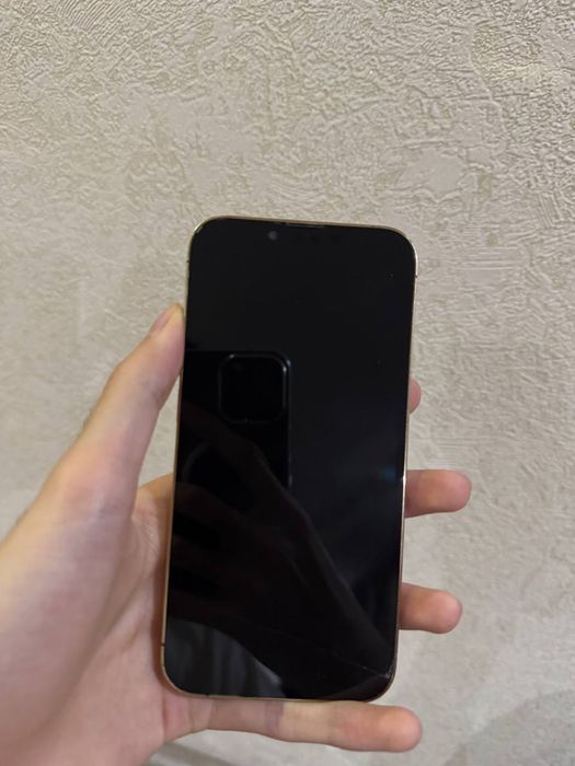 Iphone 13 pro sotiladi