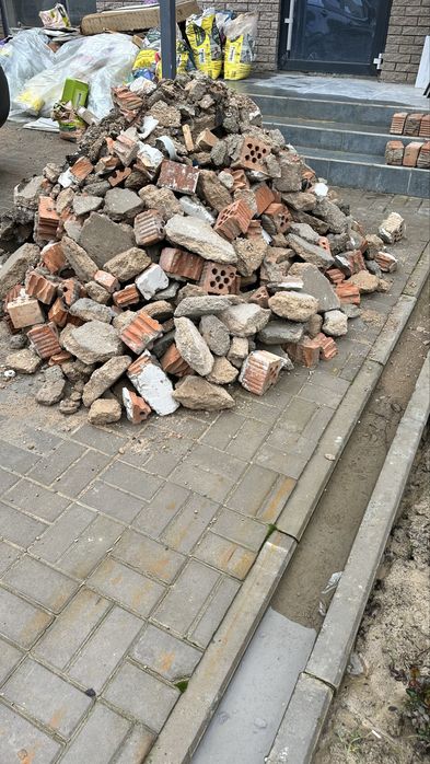 Блужник. Бесплатно.