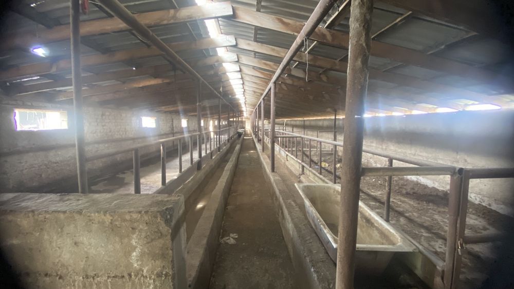 Сдаётся в аренду