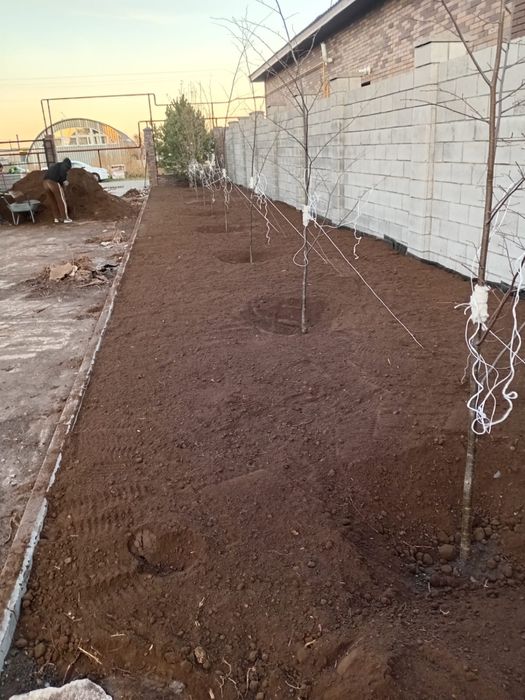 Садовник тал егу гул егу