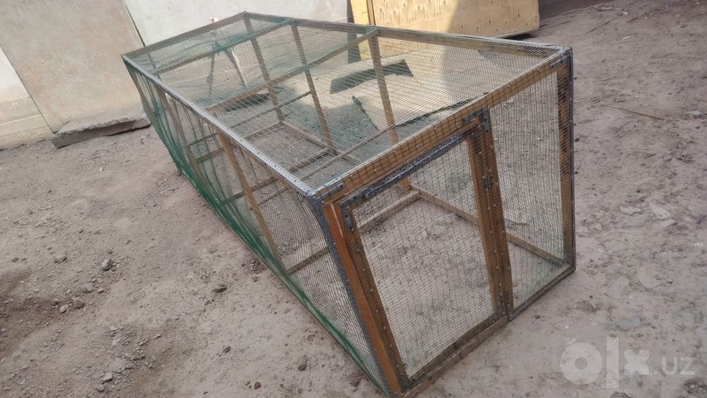 Tovuq xona 3 metrga 1metr