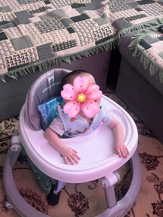 Ходунок ак тусты жана