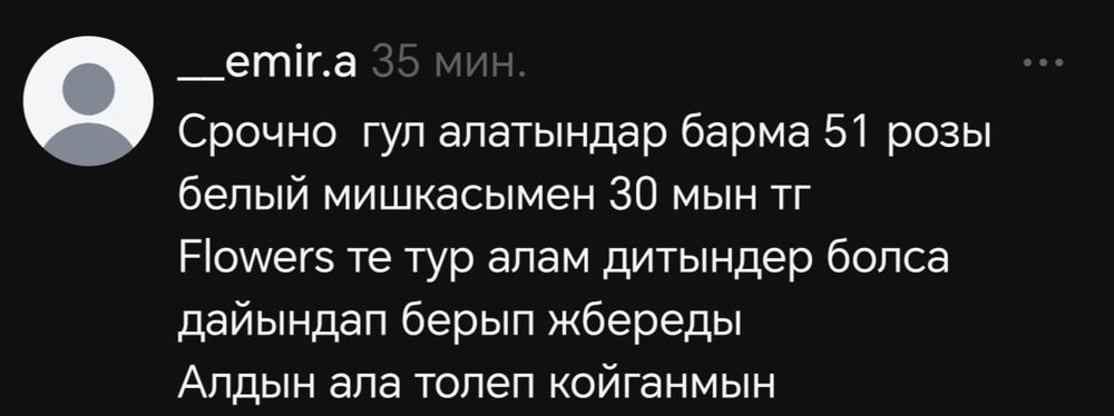 Цветы 51 белый роза