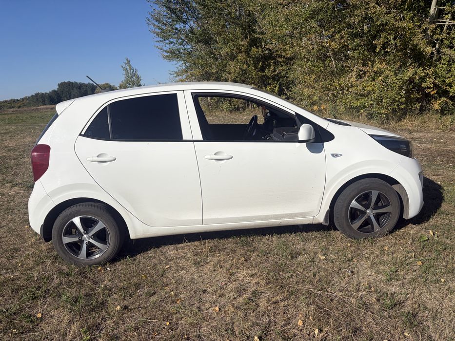 KIA picanto. 2019 год