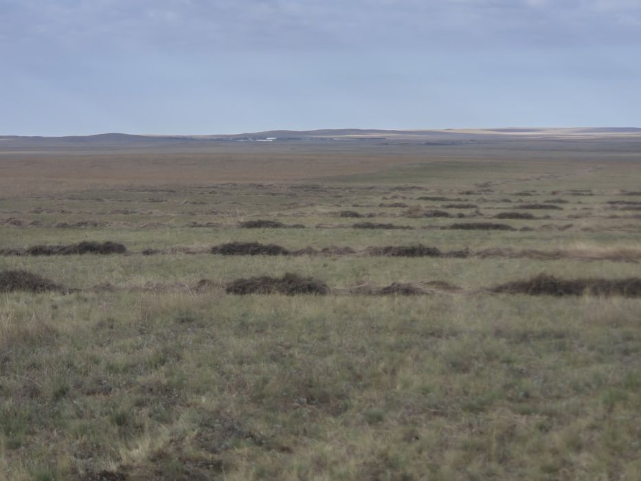 Продам  фермерское хозяйство