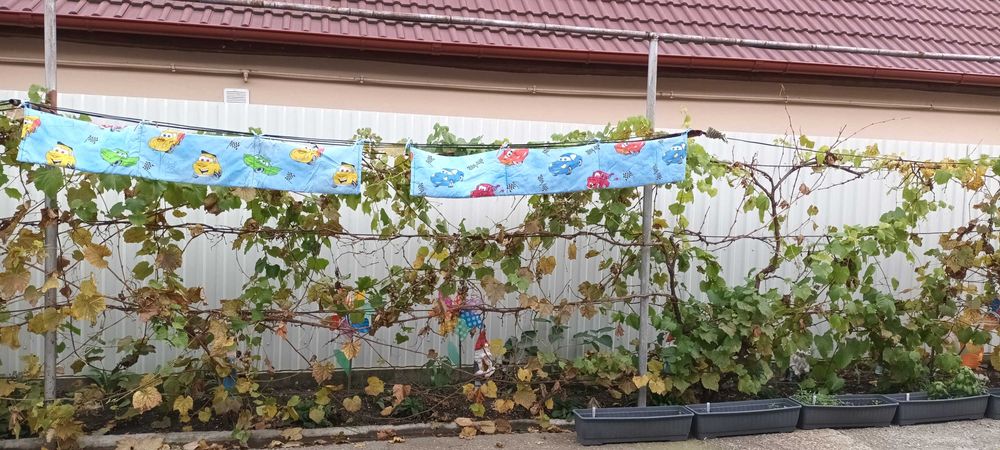 **Disney Cars | Aparatori  Protectie laterala patut bebe | 175 x 28 cm