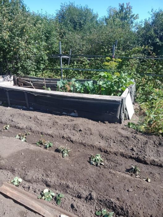 Продаю  Ухоженную Дачу