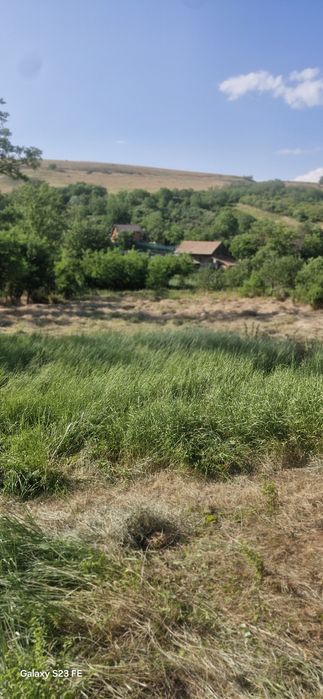Teren pentru casă cu gradină