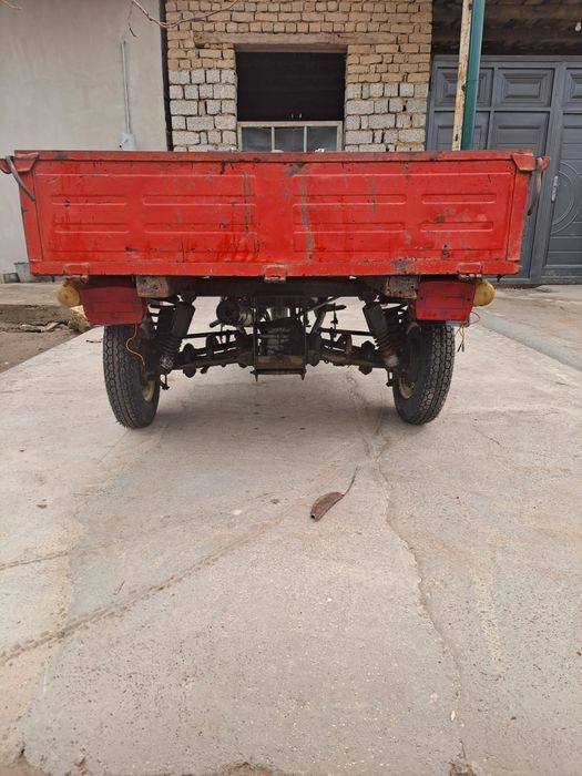 муравей холати яхщи